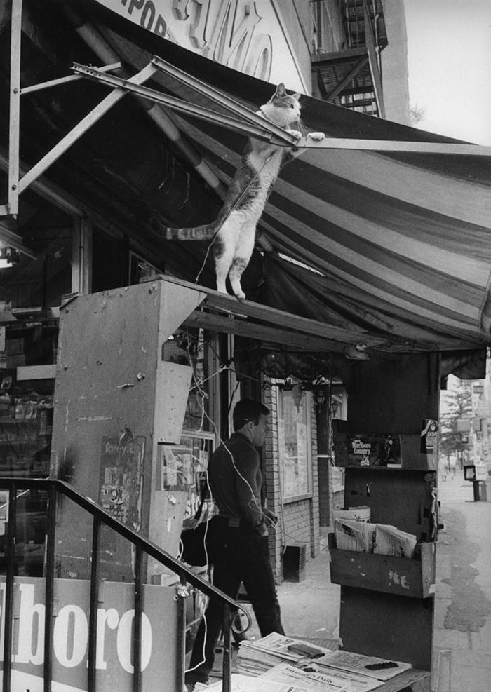 Городские реалии Городские реалии