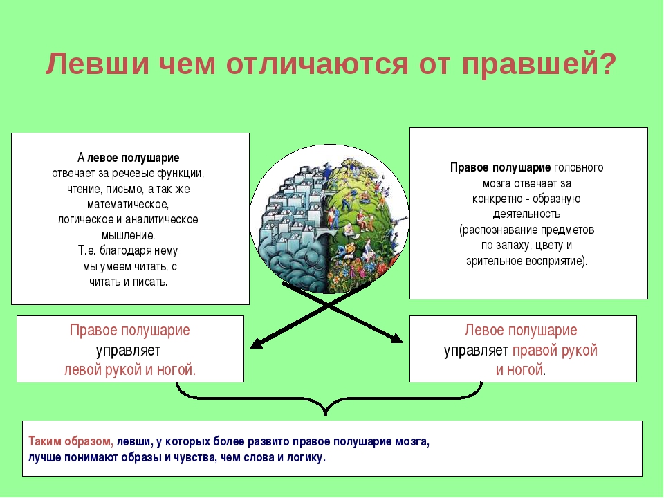 Какое полушарие больше. Левши и правши особенности. Чем отличается Левша от правши. Различия левшей и правшей. Чемотличаеься Левша ОТП равши.