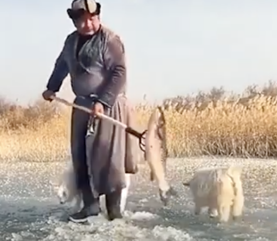 Ловля рыбы в проруби по-монгольски: вместо удочки подкормка и вилы Культура