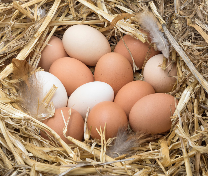 Фото №1 - Царское блюдо: 5 любопытных фактов из истории потребления яиц в России
