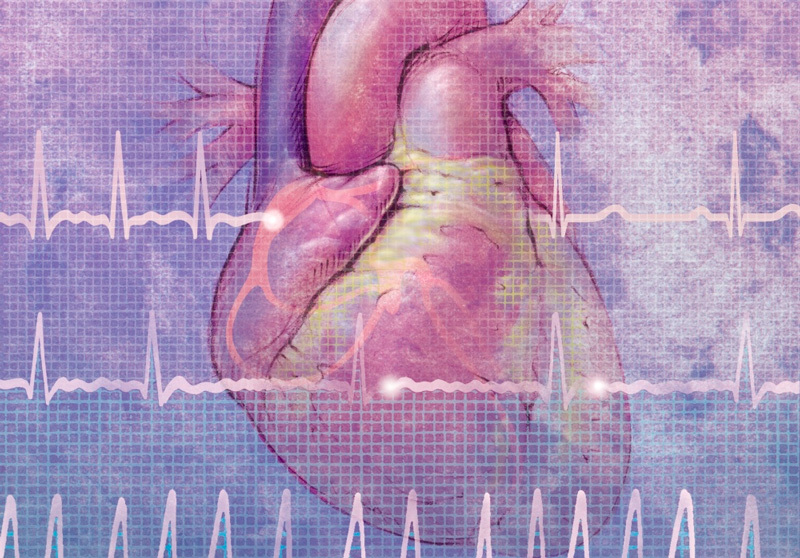 Боль в области сердца: что болит на самом деле? может, сердца, грудной, могут, клетке, причиной, груди, болей, крови, области, артерии, причину, всего, всегда, время, Поскольку, сердечные, заболевания, метод, пищевода