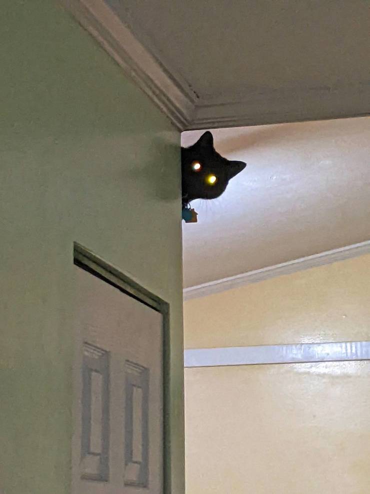 Подборка картинок. Вечерний выпуск Подборка картинок. Вечерний выпуск приколы,смешные картинки,юмор