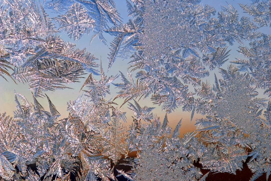 Природная зона продолжительная морозная зима. Зимние узоры. Морозные узоры на стекле. Морозное окно. Морозные узоры на окне.