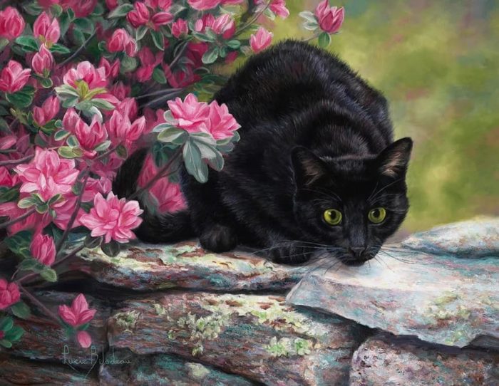 Художник Lucie Bilodeau. Пушистый живой генератор уюта