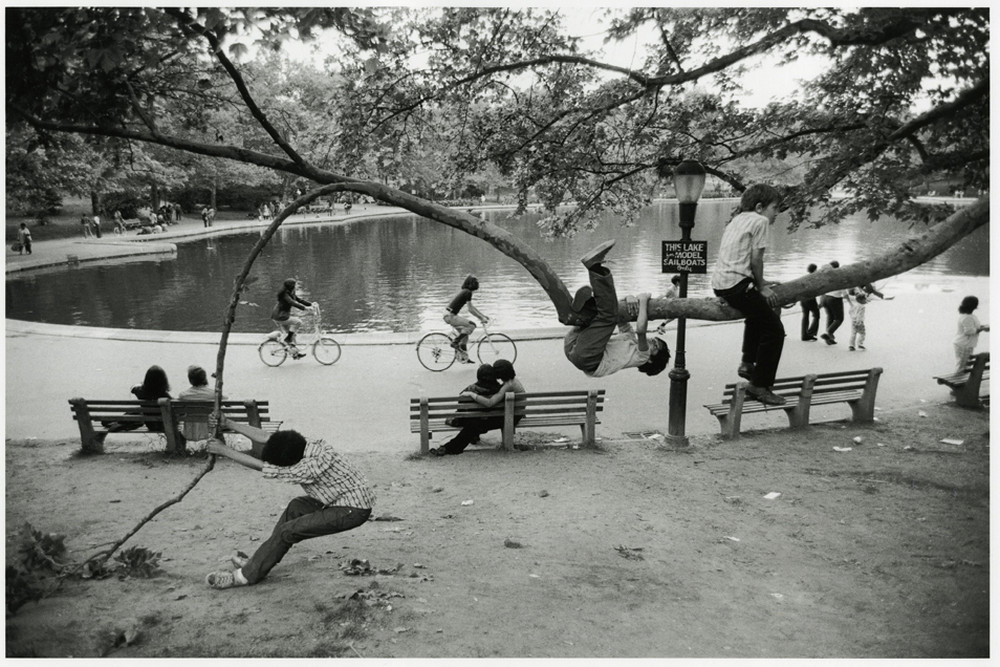 Городские реалии Городские реалии