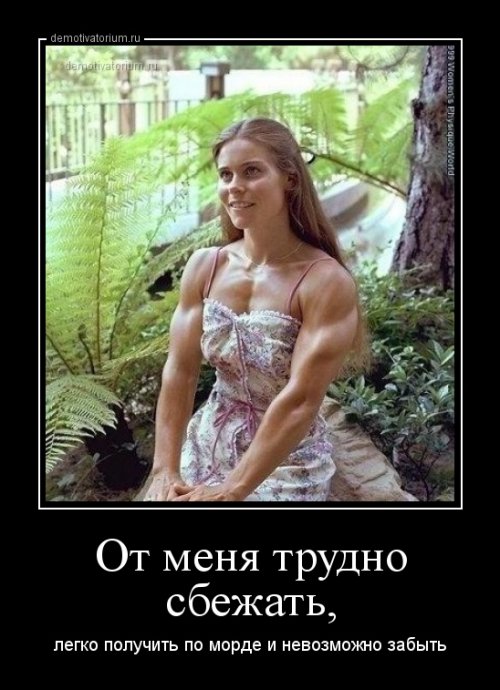 Новые демотиваторы для хорошего настроения (14 шт)