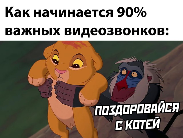 Подборка картинок. Вечерний выпуск Подборка картинок. Вечерний выпуск приколы,смешные картинки,юмор