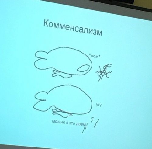 Как выглядит презентация по биологии настоящего прокрастинатора mir-interes.info