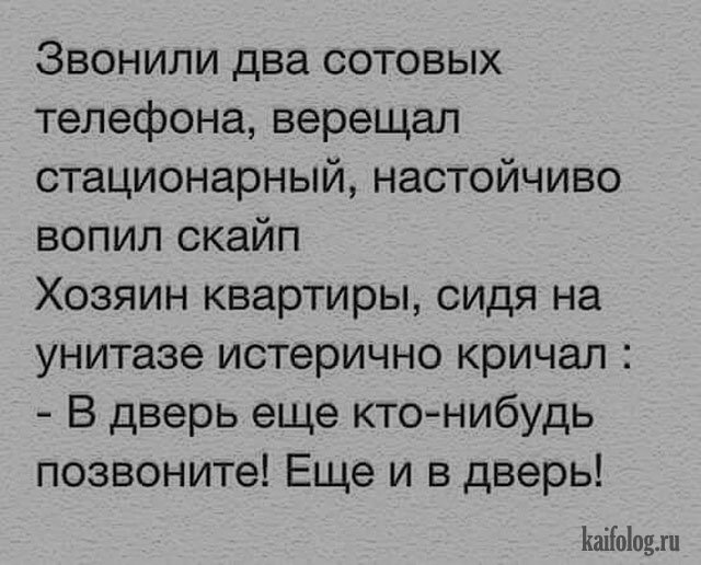 Мужик вызывает ветеринара к своему питону Мужик вызывает ветеринара к своему питону анекдоты