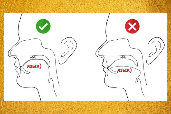 Как положение языка во рту влияет на наше здоровье: странный фактор, о котором вы не знали наука,парк,Здоровье [96577750],человек