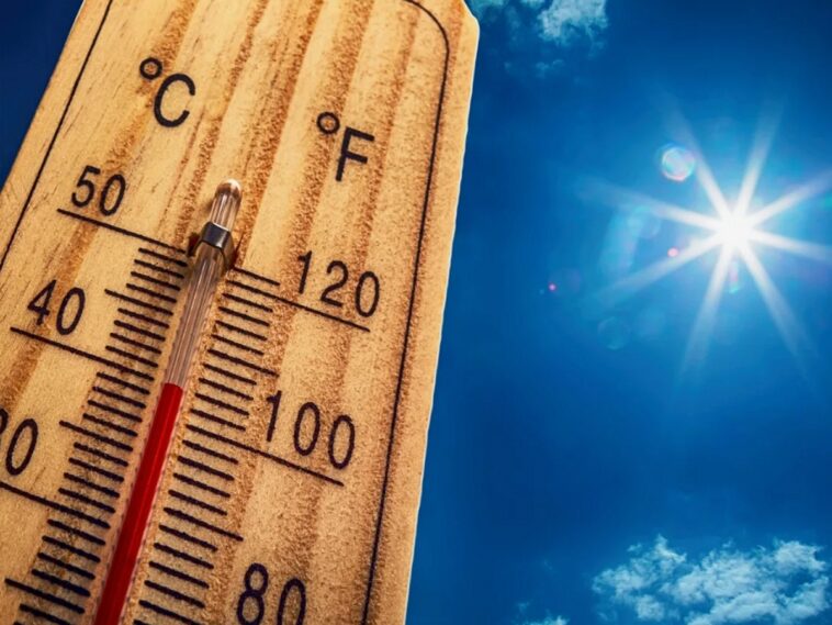 Синоптики пообещали летом-2024 в России «жару тысячелетия» до +50 градусов