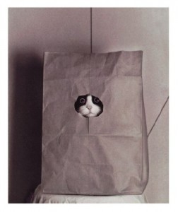 Десять дурацких ошибок, которые совершают женщины, чтобы испортить себе жизнь Десять дурацких ошибок, которые совершают женщины, чтобы испортить себе жизнь