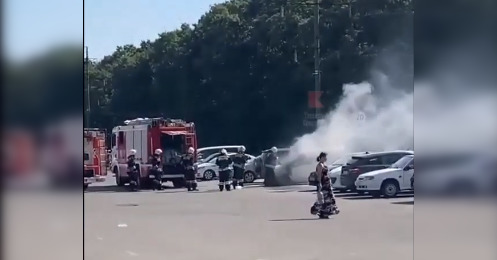 В парке «Краснодар» сгорел автомобиль (ВИДЕО)