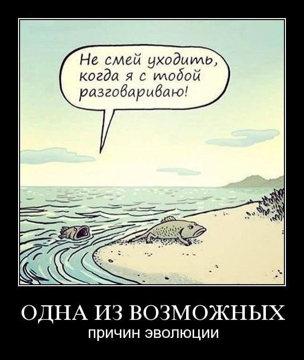 Жена: — На что ты выбросил тысячу рублей?… Юмор,картинки приколы,приколы,приколы 2019,приколы про