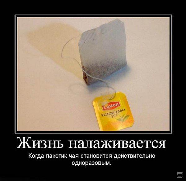Утренние демотиваторы для хорошего настроения (11 фото)