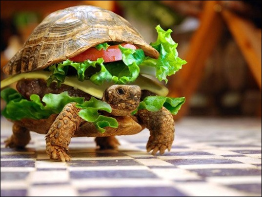 adf61af6bf17e13d368bb0c47452b4f7.0