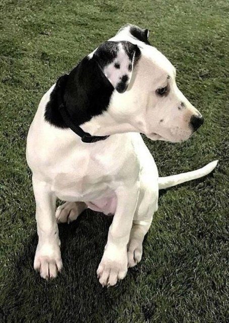 Смотрим и удивляемся 