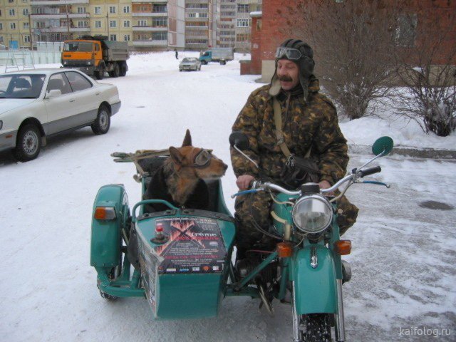 Сегодня – день рождения первого мотоцикла  Марки и модели,мотоциклы,юмор