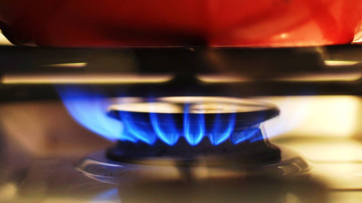 Высокие цены на газ привели к снижению спроса на топливо в Европе Экономика