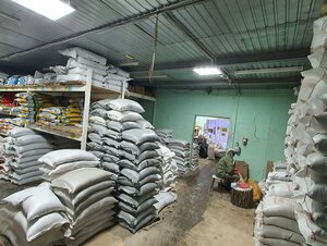 Расхищение Европы Расхищение Европы геополитика