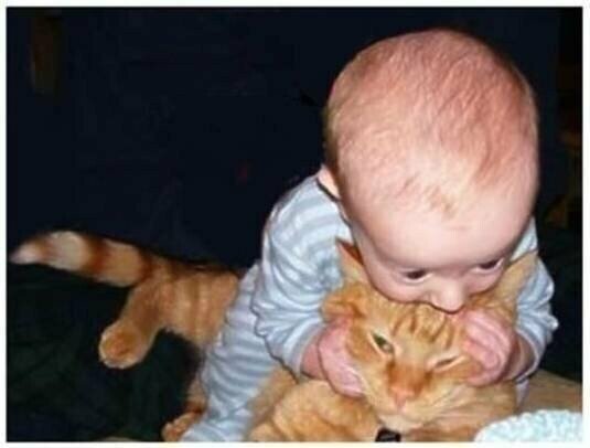 О дружбе О дружбе