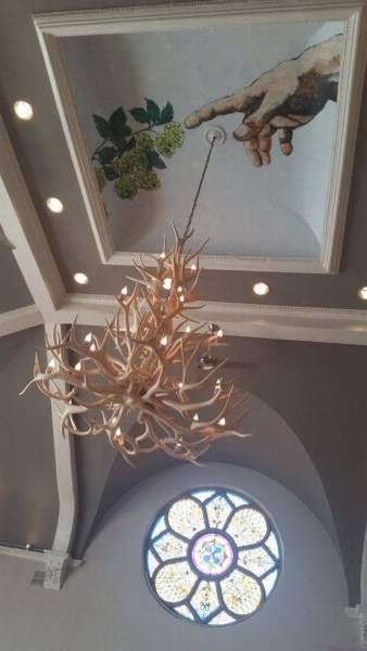 Прикольные картинки. Дневной выпуск (55 фото)