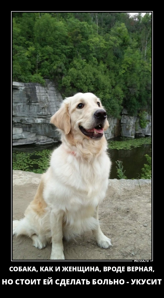 Веселые демотиваторы о жизни, девушках и отношениях 