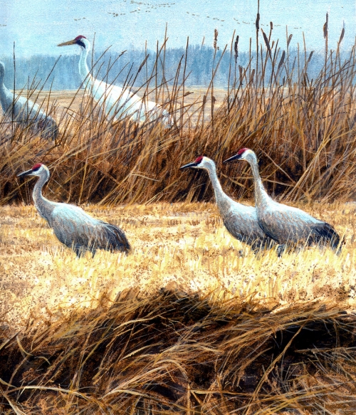 Художник Роберт Бейтман | Robert Bateman (363 работ)