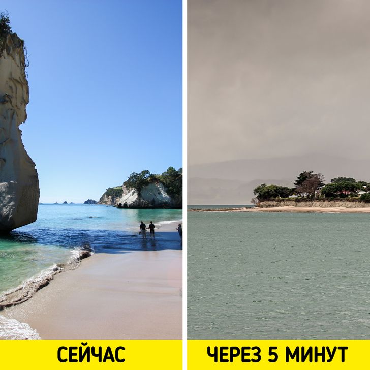 12 особенностей быта и традиций Новой Зеландии, от которых у приезжих округляются глаза Новая Зеландия,страноведение,традиции