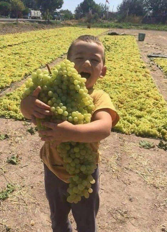 Подборка зачетных, смешных и прикольных фотографий для хорошего настроения красивые фотографии,приколы,фото приколы,шикарные фотографии,юмор