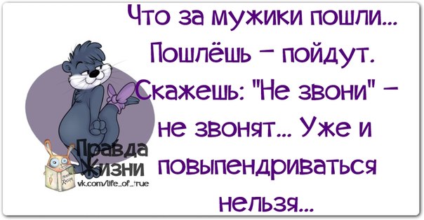 Смешные картинки что за мужики пошли, грузин приколы кенгуру