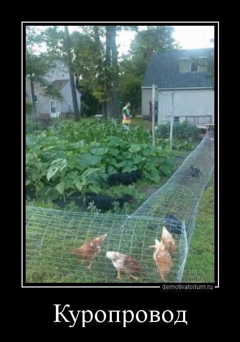 Демотиваторы для всех Демотиваторы для всех