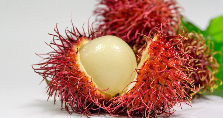 23 самых необычных фрукта и овоща, которые встречаются в природе 23 самых необычных фрукта и овоща, которые встречаются в природе