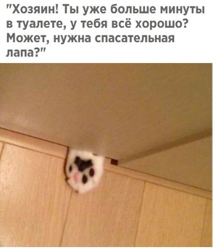 Позитивные и жизненные картинки с надписями со смыслом (12 фото)