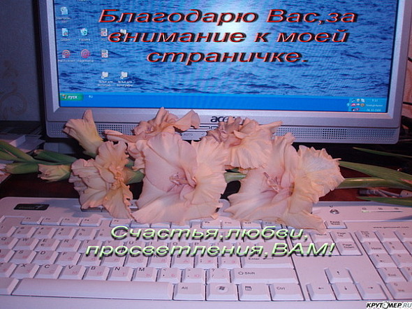 Героев, виртуальные открытки в блогах