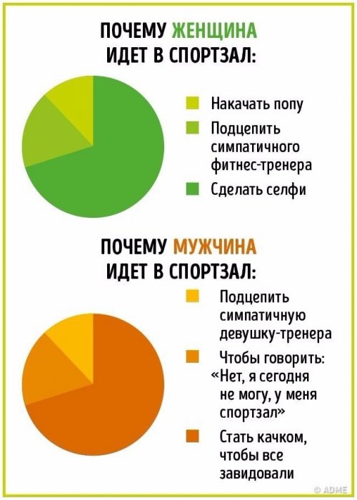 Отличия между мужчинами и женщинами в прикольной инфографике (10 фото)