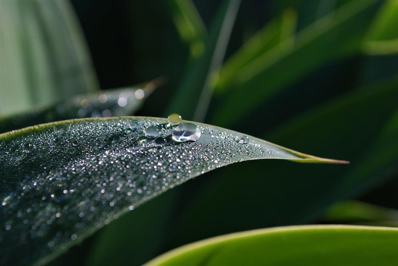 Погодный фотограф 2021 Photographer, Weather, Society’s, Meteorological, AwardsРадуга, острове, белого, цвета, время, AwardsМолнии, Селатан, хорошо, Jiming, Китай, солнечный, AwardsГора, PurnomoRoyal, Индонезия, АбуДаби, Christopher