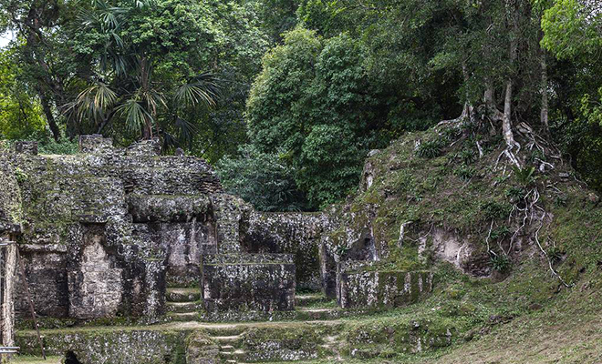 «Структура похожа на космодром»: на Юкатане обнаружили древнюю постройку майя размером с современный аэродром 