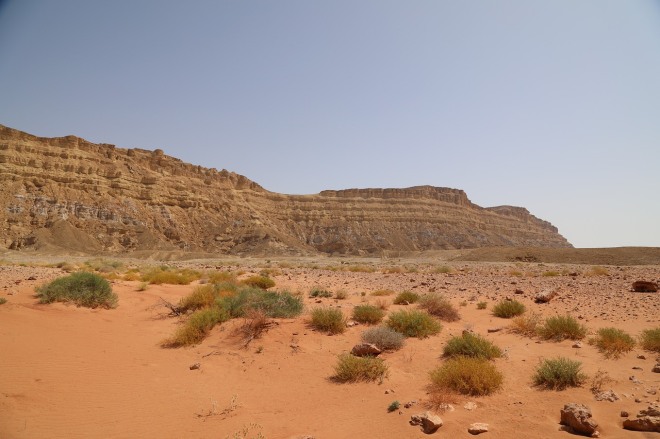 Иудейская пустыня - сказочное место на планете