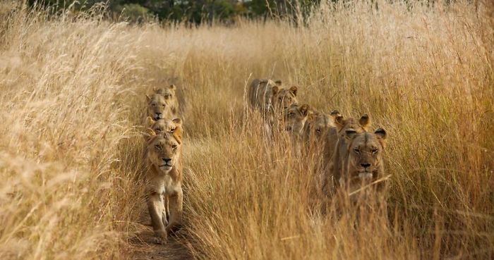 The March