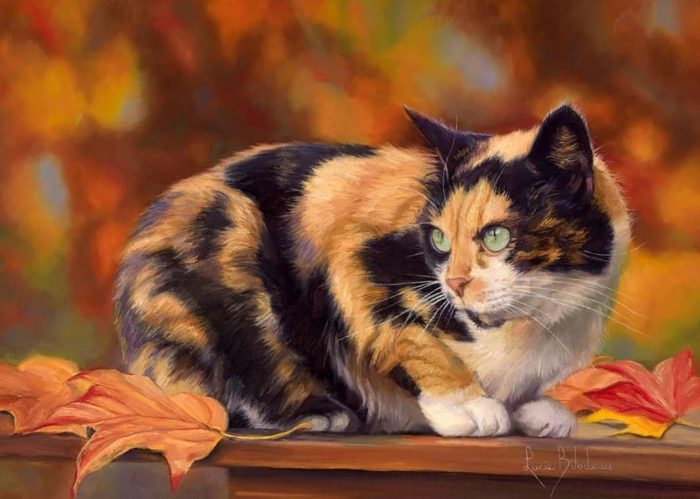 Художник Lucie Bilodeau. Пушистый живой генератор уюта