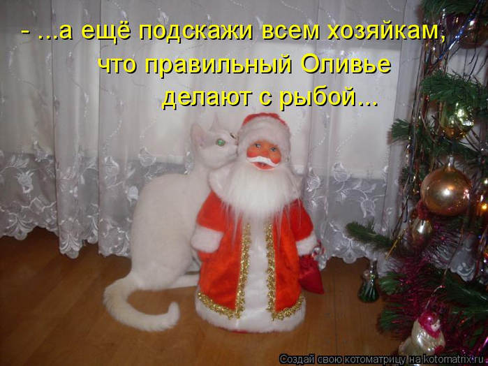 ЯНВАРСКАЯ КОТОМАТРИЦА ЯНВАРСКАЯ КОТОМАТРИЦА