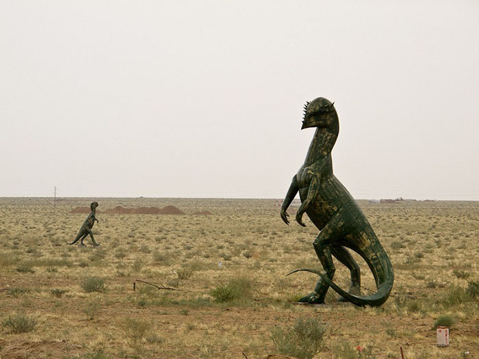 В этой местности нашли останки более 20 видов динозавров.