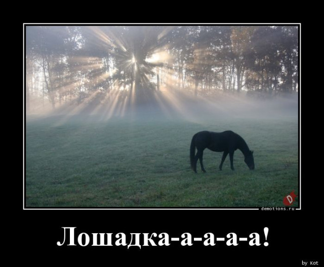 Демотиваторы для всех: «Мама просила руками не трогать»  