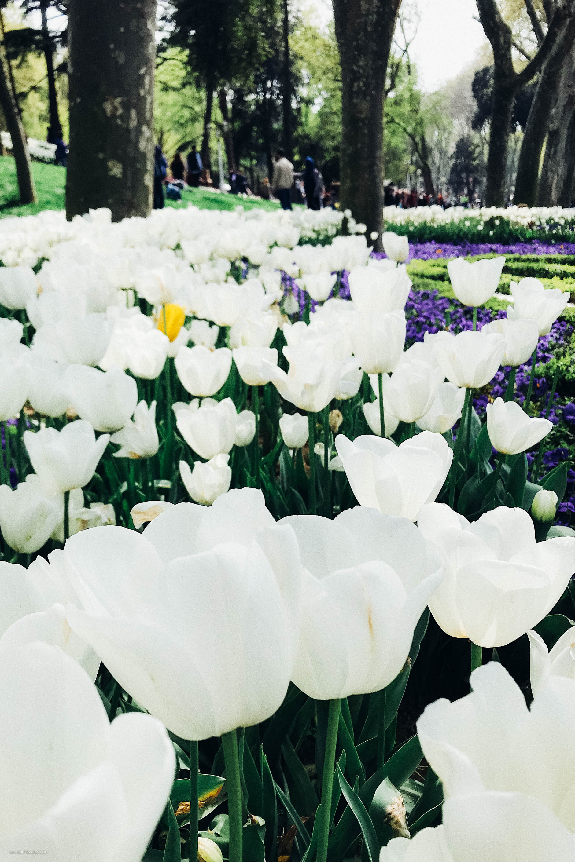 10 причин почему я не люблю Стамбул 10 причин почему я не люблю Стамбул страны,туризм