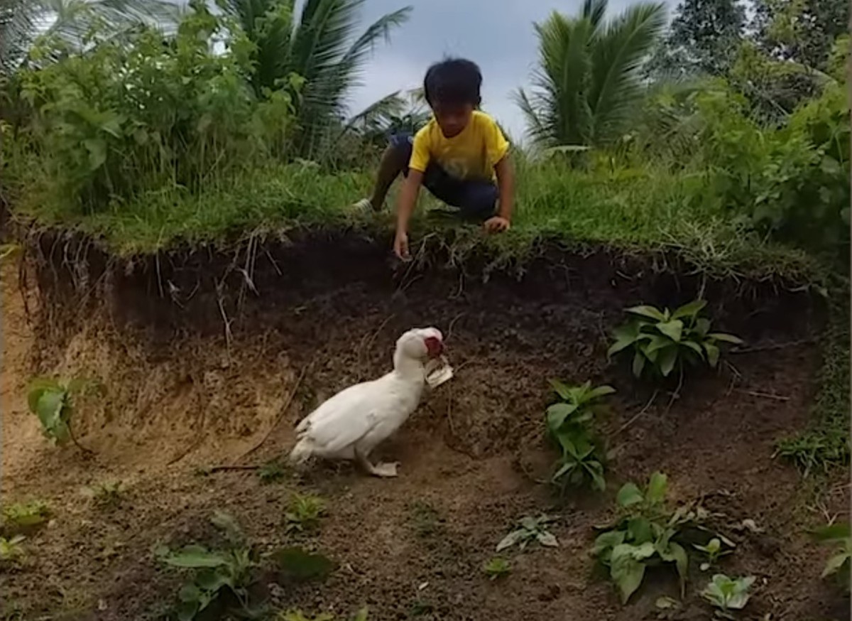 Терапия и поддержка