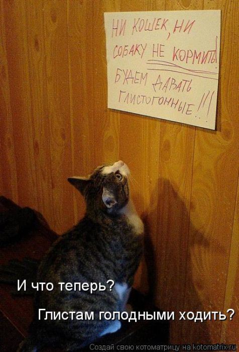 Мысли вслух :)
