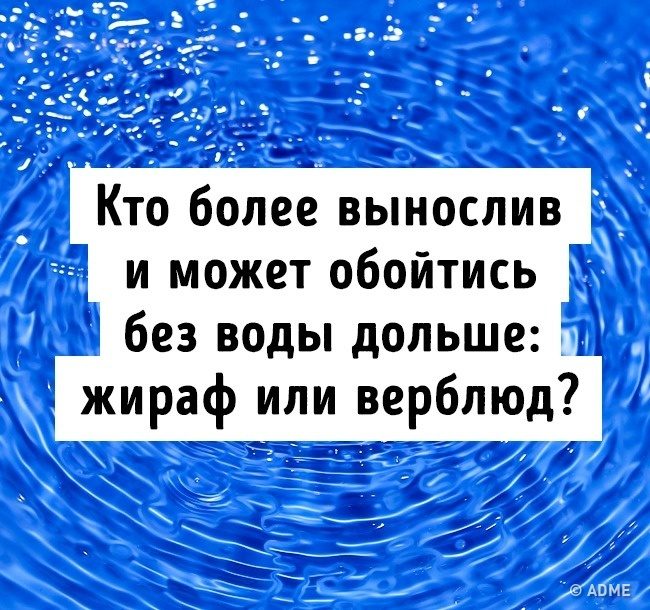 Тест на эрудицию: 13 вопросов, которые покажут, не пора ли вам обратно в школу