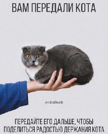 Из двух зол я выбираю то, какое раньше не пробовал...