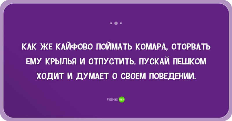 25 открыток с отборным юмором настроение, открытки, прикол, юмор